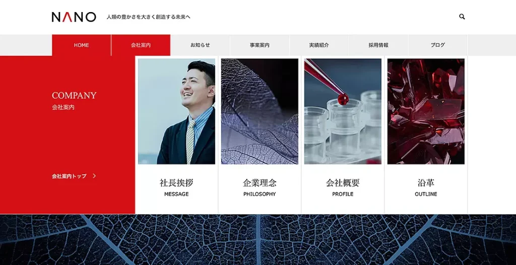 NANOデモサイトトップページ画像